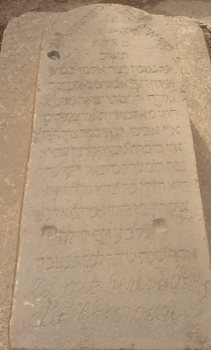 PERESDIT CHEKROUN.jpg